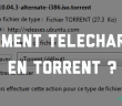 Comment télécharger en Torrent Comment télécharger en torrent