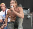 Iggy Pop dessine sa vision de la consommation de la musique Iggy Pop sa vision consommation musique